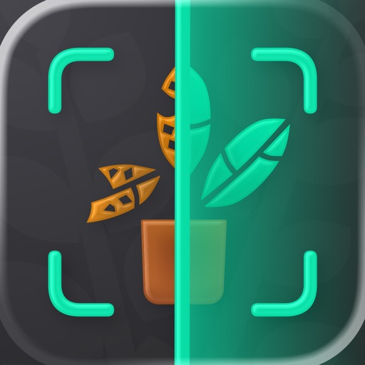 Plant Identifier. Fix Disease